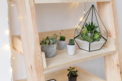 Geometric glass florarium vase with succulent plants and small cacti in a concrete geometric pots on wooden rack. Small garden with miniature cactuse, echeveria, crassula. House indoor plants.