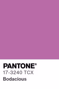 Color - bodacious-17-3240
