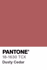 Color - Pantone 18-1630