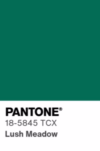 Color - Lush Meadow pantone 18-5845
