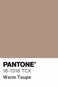 Color - Pantone 16-1318